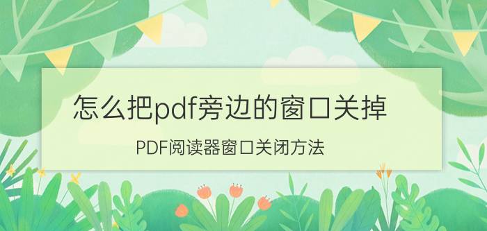 怎么把pdf旁边的窗口关掉 PDF阅读器窗口关闭方法